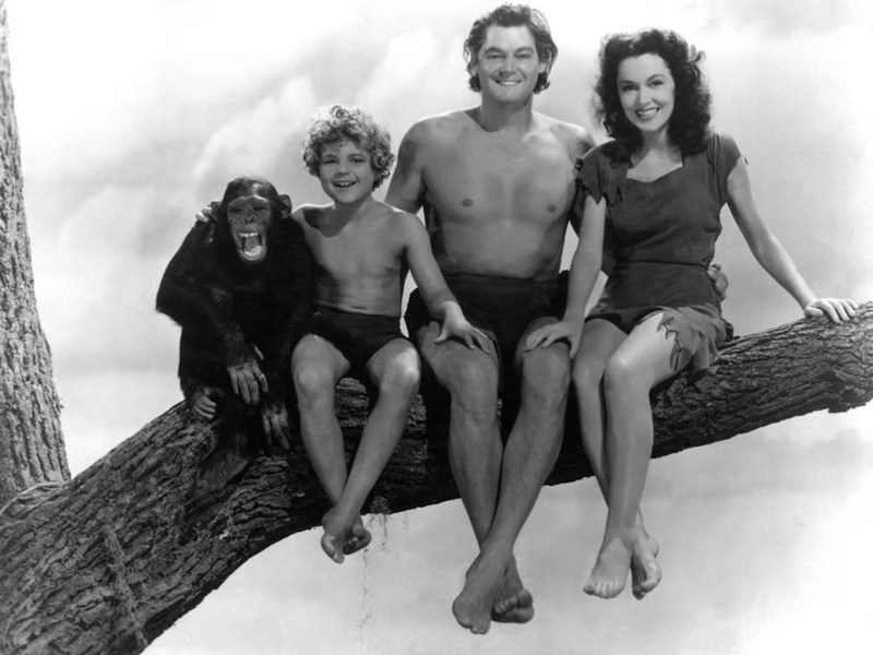 Illustration for article titled The Weirdest Animal Movie (and TV) Stars of All Time